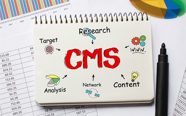 Evaluating the pros and cons of CMS platforms